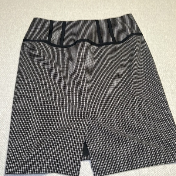THE LIMITED  Collection Skirt.  Size 8 - Picture 4 of 7